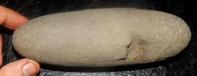 DSCN5810.webp