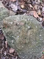 ImageUploadedByTreasureNet.com1488840182.563851.webp