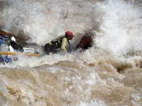 302a.webp