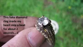 Street island finds 3-18-17 002.webp
