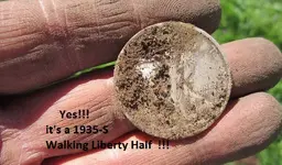 Street island finds 3-18-17 005.webp