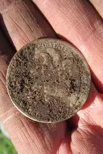 Street island finds 3-18-17 006.webp