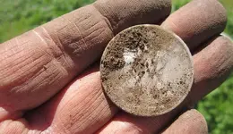 Street island finds 3-18-17 007.webp