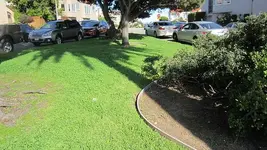 Street island finds 3-18-17 011.webp