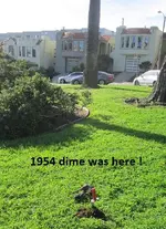 Street island finds 3-18-17 013.webp