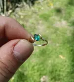 IMG_20170412_130458.webp
