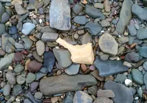 DSCF0032.webp