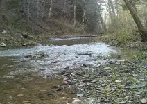 DSCF0026 (1).webp