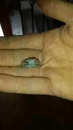 Wedding Ring.webp