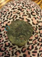 19090 - Copy.webp