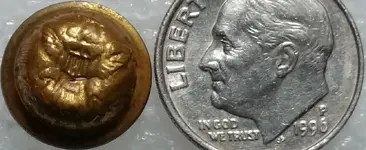 button4b.webp