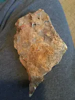 ImageUploadedByTreasureNet.com1488848728.199208.webp