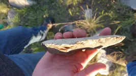 20170331_192233.webp