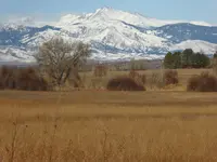 weather watchers 0.webp