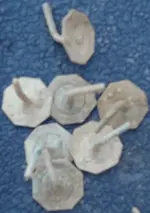 DSC01991.webp