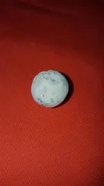 1488855231178.webp