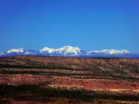 trip 041217 6.webp