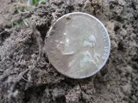 Mojave 3 War Nickels - Rosie - Mercury 011.webp