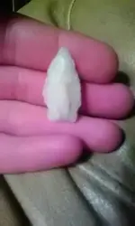 1488861366304.webp