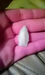 1488861449765.webp