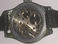 ImageUploadedByTreasureNet.com1492094124.602594.webp