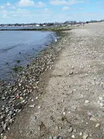 20170319_113156.webp
