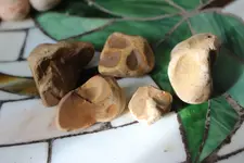 IMG_8641.webp