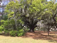 IMG_2036.webp IMG_2036.webp