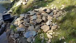 1487691111006.webp