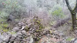 1487691455851.webp
