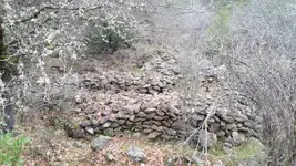 1487691466721.webp