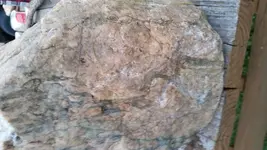 20170228_174455.webp