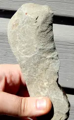 DSCN5820.webp