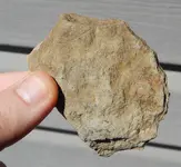 DSCN5821.webp