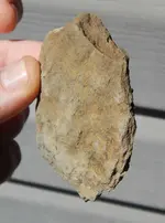 DSCN5822.webp