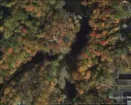 forks zoom.webp