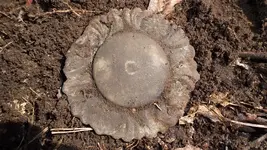 DSCF0339.webp
