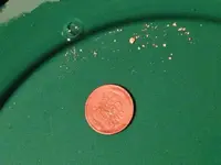 ImageUploadedByTreasureNet.com1491416420.839472.webp
