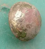 DSCF0002(1).webp