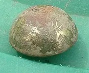 DSCF0006(1).webp