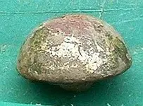 DSCF0007(1).webp