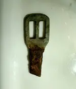 image.webp