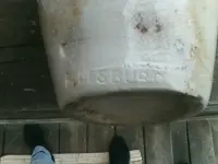 1491418803689.webp