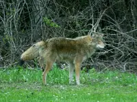 K1600_DSCN2044.webp