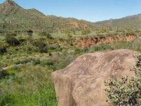 Cave Creek near the old Wood's ranch..jpg