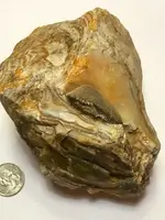 ImageUploadedByTreasureNet.com1489374637.126451.webp
