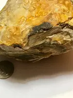 ImageUploadedByTreasureNet.com1489374670.009140.webp