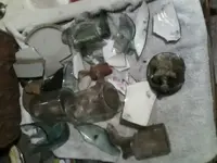 1491419365842.webp