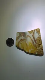 IMAG0196.webp IMAG0196.webp