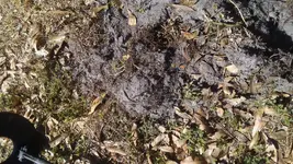 20170307_103836.webp